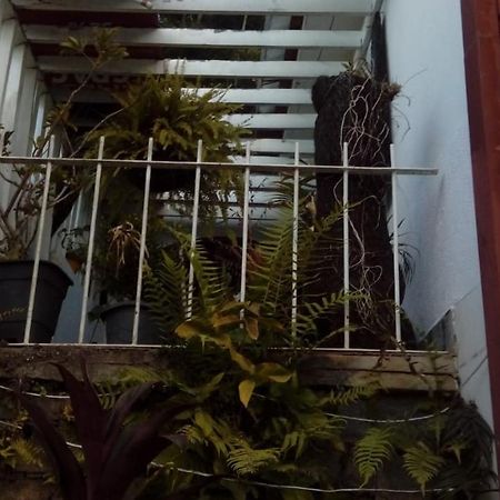 Hostel Mdemarilia 노바프리부르구 외부 사진